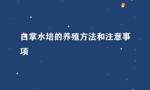 白掌水培的养殖方法和注意事项
