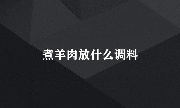 煮羊肉放什么调料