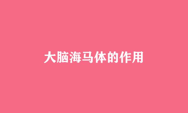 大脑海马体的作用
