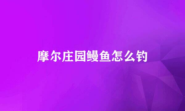 摩尔庄园鳗鱼怎么钓