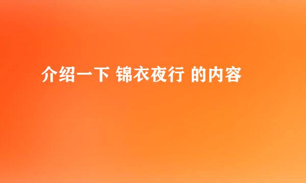 介绍一下 锦衣夜行 的内容