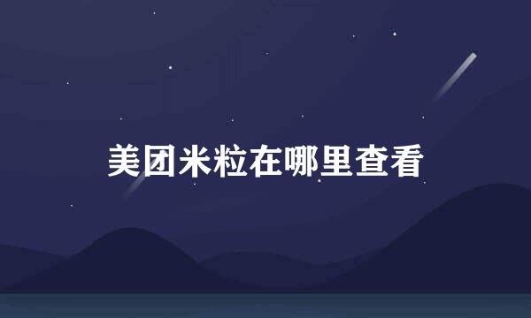 美团米粒在哪里查看
