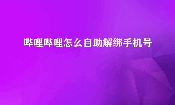 哔哩哔哩怎么自助解绑手机号
