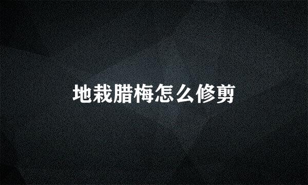 地栽腊梅怎么修剪