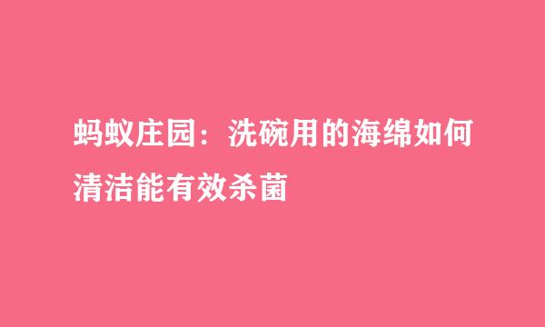 蚂蚁庄园：洗碗用的海绵如何清洁能有效杀菌