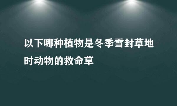 以下哪种植物是冬季雪封草地时动物的救命草