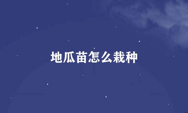 地瓜苗怎么栽种
