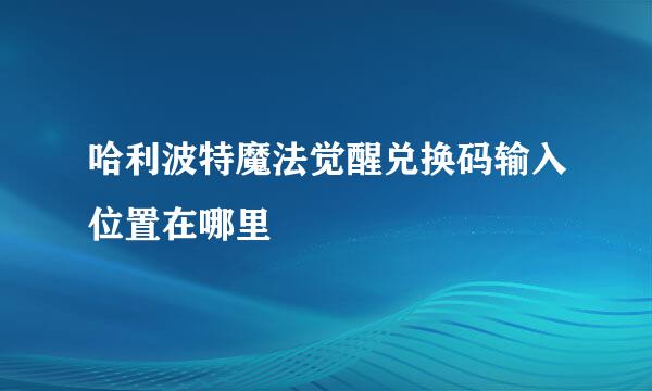 哈利波特魔法觉醒兑换码输入位置在哪里