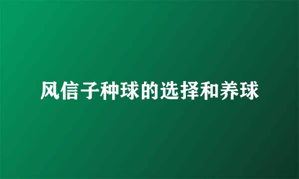风信子种球的选择和养球