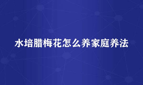 水培腊梅花怎么养家庭养法