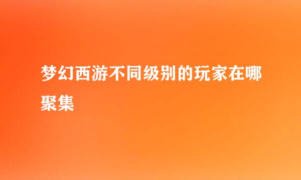 梦幻西游不同级别的玩家在哪聚集