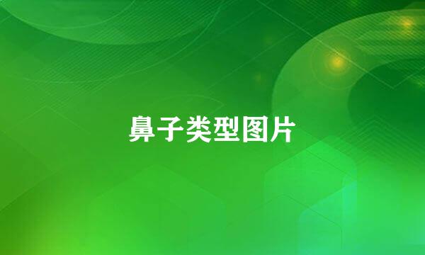 鼻子类型图片