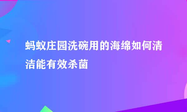 蚂蚁庄园洗碗用的海绵如何清洁能有效杀菌