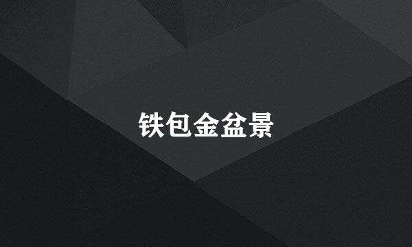 铁包金盆景