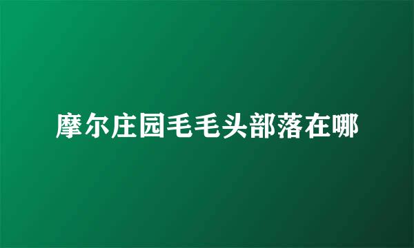 摩尔庄园毛毛头部落在哪