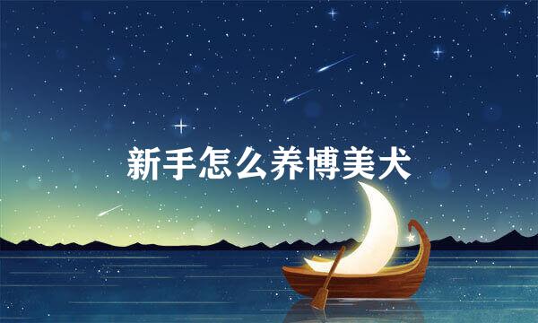 新手怎么养博美犬