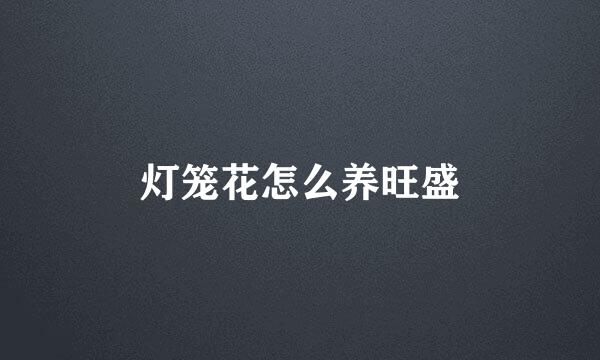 灯笼花怎么养旺盛