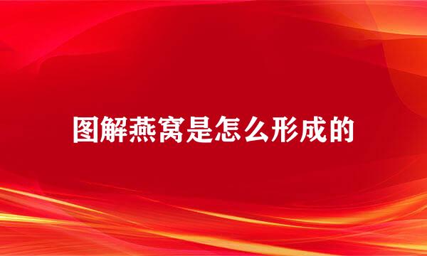 图解燕窝是怎么形成的
