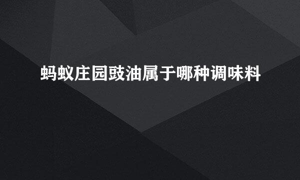 蚂蚁庄园豉油属于哪种调味料