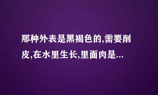 那种外表是黑褐色的,需要削皮,在水里生长,里面肉是白色的小小个的水果是什么