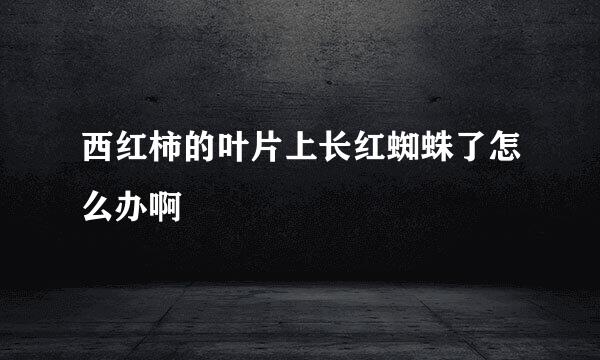 西红柿的叶片上长红蜘蛛了怎么办啊
