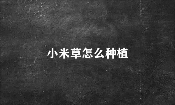 小米草怎么种植