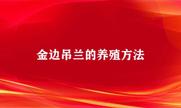 金边吊兰的养殖方法
