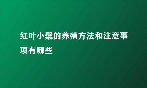 红叶小檗的养殖方法和注意事项有哪些