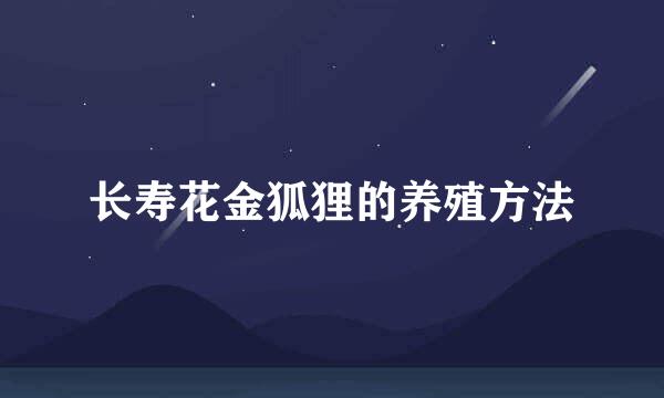 长寿花金狐狸的养殖方法