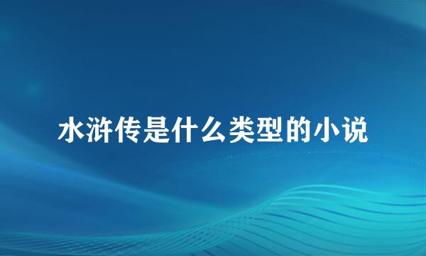 水浒传是什么类型的小说