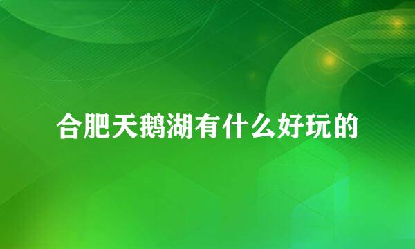 合肥天鹅湖有什么好玩的