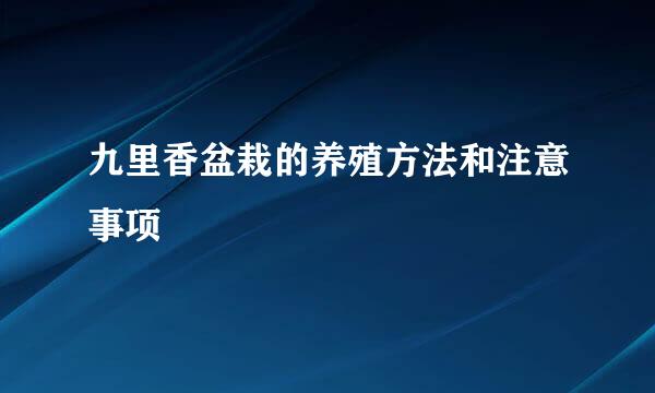九里香盆栽的养殖方法和注意事项