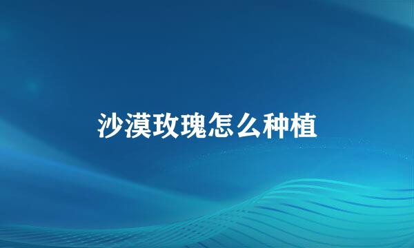 沙漠玫瑰怎么种植