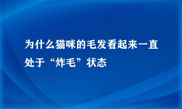 为什么猫咪的毛发看起来一直处于“炸毛”状态