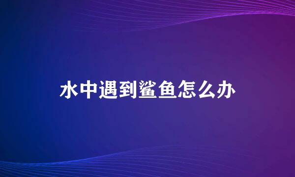 水中遇到鲨鱼怎么办