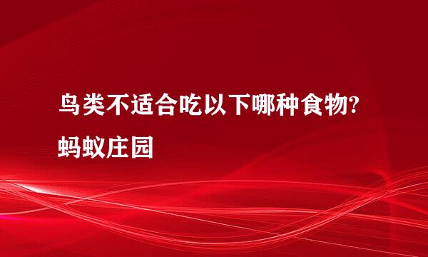 鸟类不适合吃以下哪种食物?蚂蚁庄园