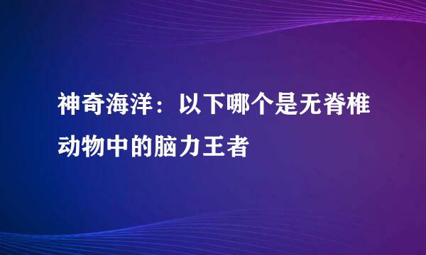 神奇海洋：以下哪个是无脊椎动物中的脑力王者