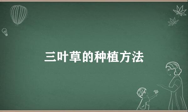 三叶草的种植方法