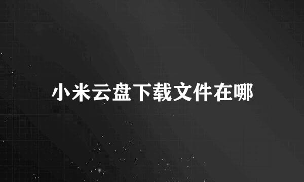 小米云盘下载文件在哪