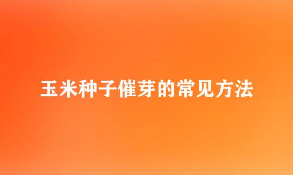 玉米种子催芽的常见方法