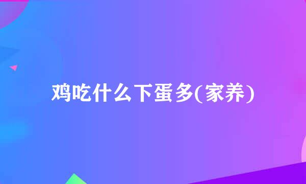 鸡吃什么下蛋多(家养)