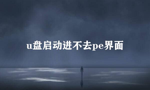 u盘启动进不去pe界面