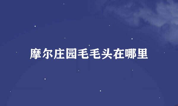 摩尔庄园毛毛头在哪里