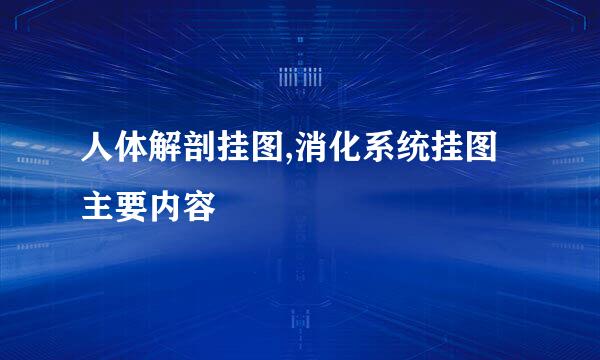 人体解剖挂图,消化系统挂图主要内容