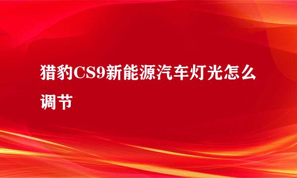 猎豹CS9新能源汽车灯光怎么调节