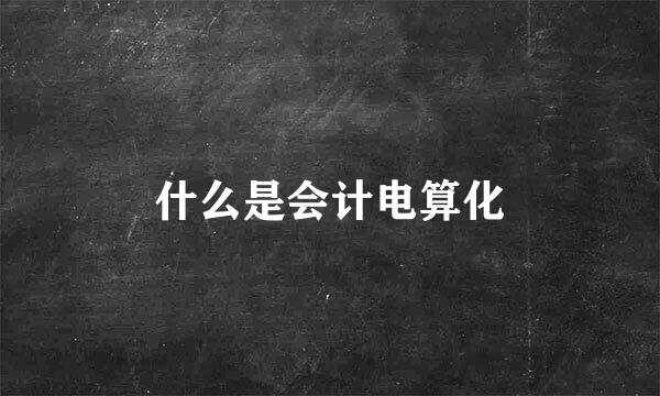 什么是会计电算化