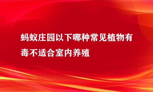 蚂蚁庄园以下哪种常见植物有毒不适合室内养殖