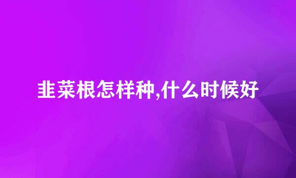 韭菜根怎样种,什么时候好