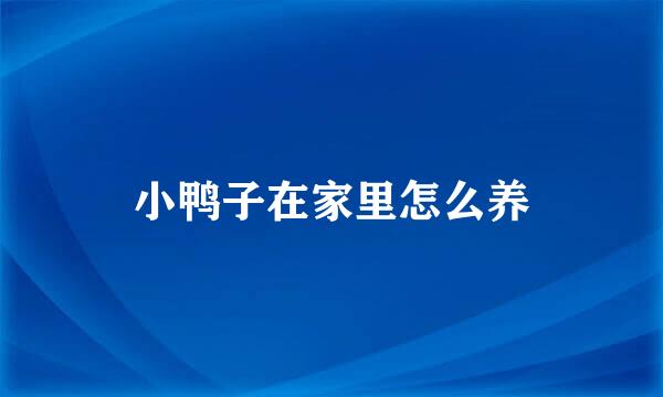 小鸭子在家里怎么养