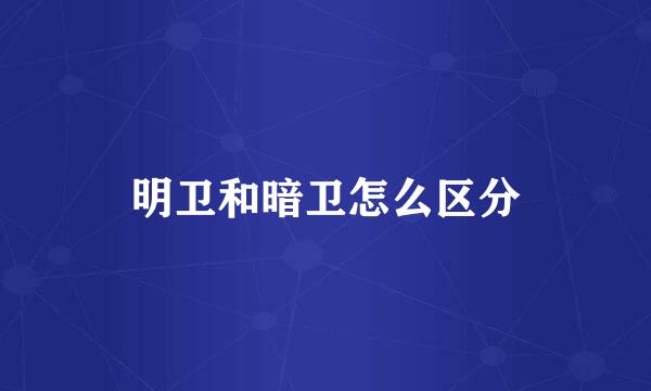 明卫和暗卫怎么区分